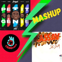 Jungeli & Kassav - Petit Syé Bwa ( Ceddrums Mashup ) Free DL