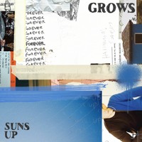 Suns Up - Grows