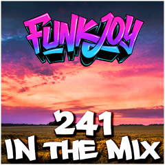 funkjoy - In The Mix 241
