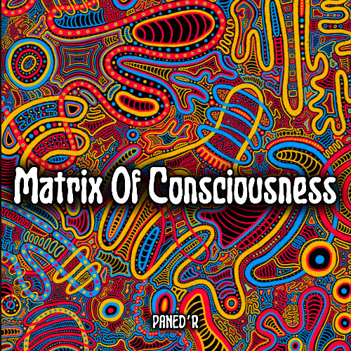 Matrix of Consciousness