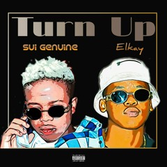 Turn Up (feat. Sui-Genuine)