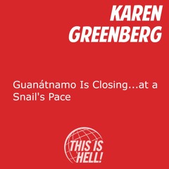 Guantánamo Is Closing...at a Snail's Pace / Karen Greenberg