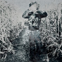 universe (yungvic + lukarajhl) #bleach