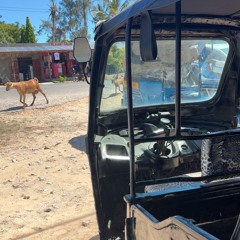 AIRFORCE BLACK @chrmy