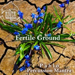 Fertile Ground - Pablo (Percussion Mantra) / River Dolphins