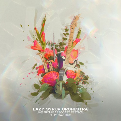 Live at Bass Coast Festival - Slay Bay 2023
