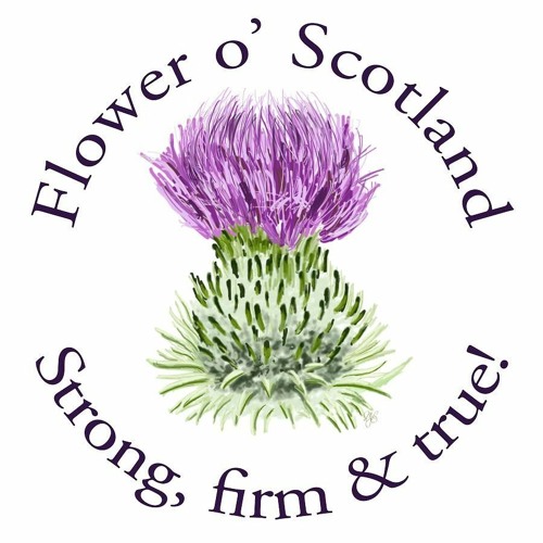 O FLOWER OF SCOTLAND.