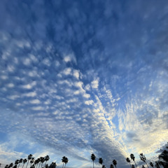 Americano Cappuccino Double Espresso Macchiato