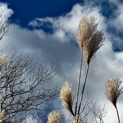 waitings waITINGss watching