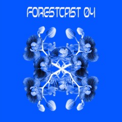 FORESTCAST 04 COLLE16