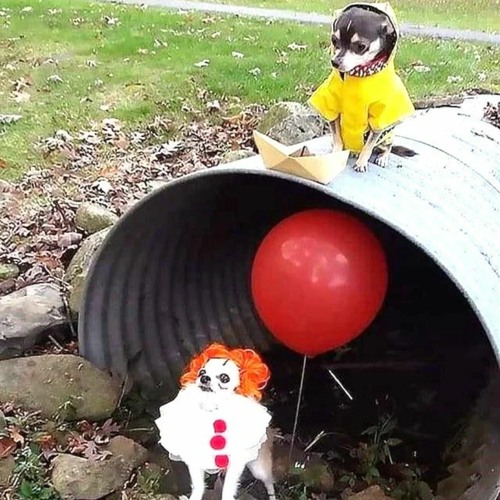 Hard Dance freestyle No.1