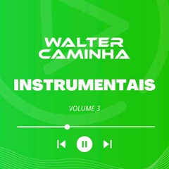 WALTER CAMINHA - INSTRUMENTAIS VOL. 3 (PREVIEW) Pix/Paypal