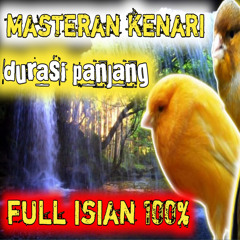 Masteran Kenari Durasi Panjang Full Isian 100% (Remix)
