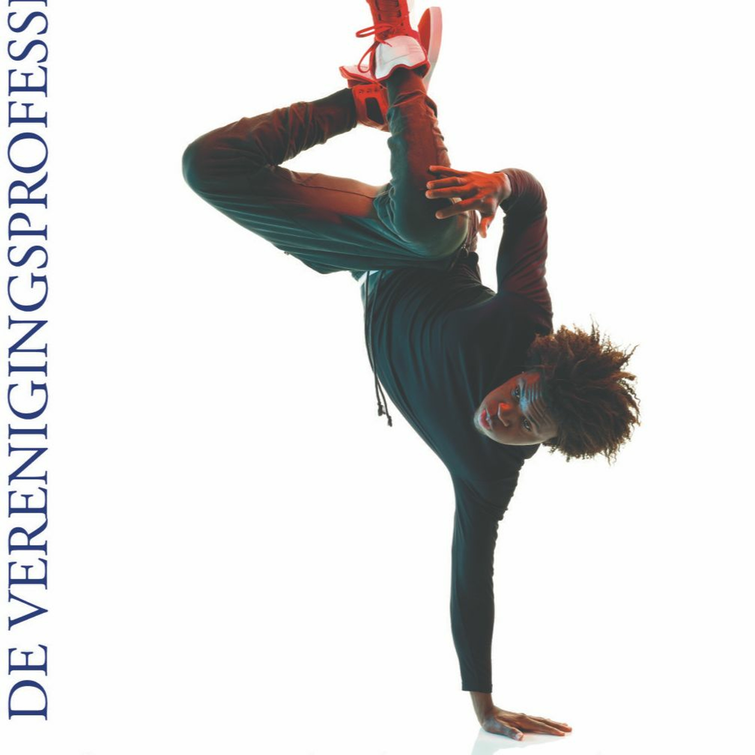 VP de Verenigingsprofessional
