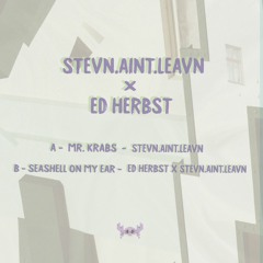 Ed Herbst & stevn.aint.leavn - Seashell On My Ear