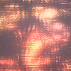 Tape01_Capture01_02022025_backup