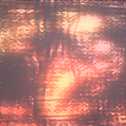 Tape01_Capture01_02022025_backup