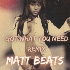 Eve - Got What You Need Remix (Matt Beats) [FREE DOWNLOAD]