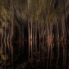 Aldes - Rising From The Swamps