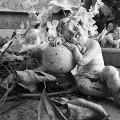 Kindness Your Highness