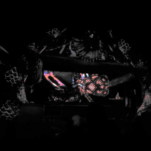 tye. Rendezvous 2024 Ambient Set