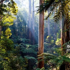 Daintree Town Collective_GTC Mix_Techno_Breaks_Progressive_Drum and Bass