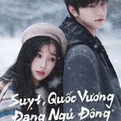 Suỵt, Quốc Vương Đang Ngủ Đông (2025) 1-4 (11h-11/03) Vietsub thuyet minh