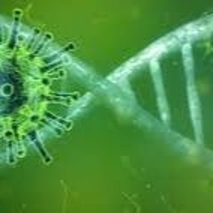 TechnoVirus.