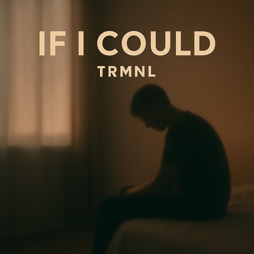 If I Could