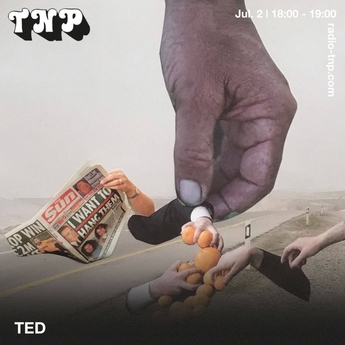TED