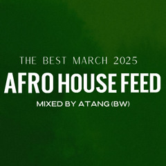 Afro House Best of March 2025 - Mixed by ATANG (BW)