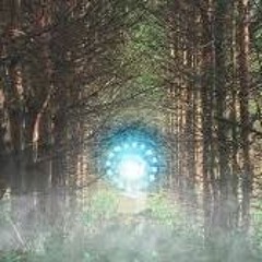 best of melodic jungle/liquid and breakbeat By Tallz
