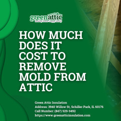 How much does it cost to remove mold from attic in Chicago