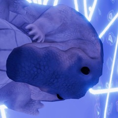 EchoChamber       (  Multigenre mix )