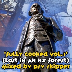 Fully Cooked Vol.1 (Lost In an NZ Forest) 2008