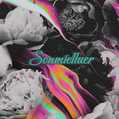DISTRICT VINA - SONMIELLUER
