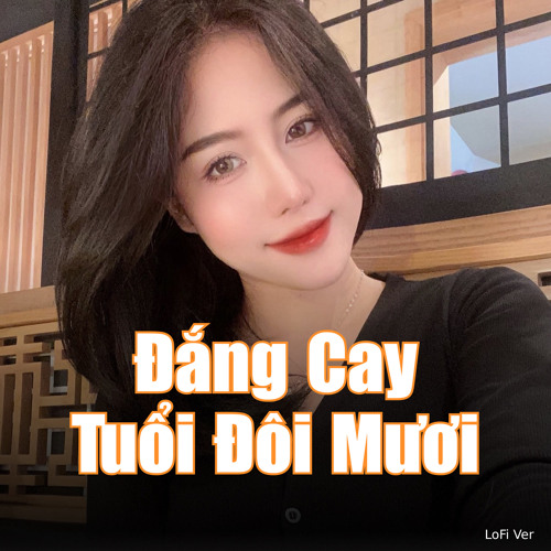 Đắng Cay Tuổi Đôi Mươi (Lofi Ver)