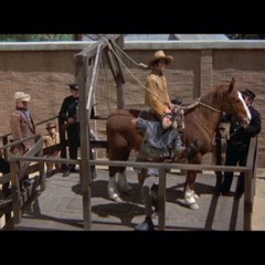 back in the saddle (yeehaw)