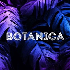 Botanica #19