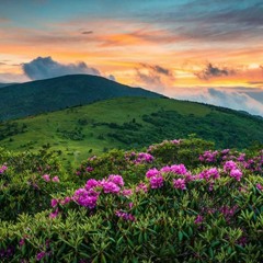 Fanfare For The Common Man -> Appalachian Spring - Aaron Copland
