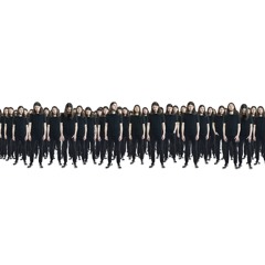 Helicopets - Army Of Me (Bjork Cover)