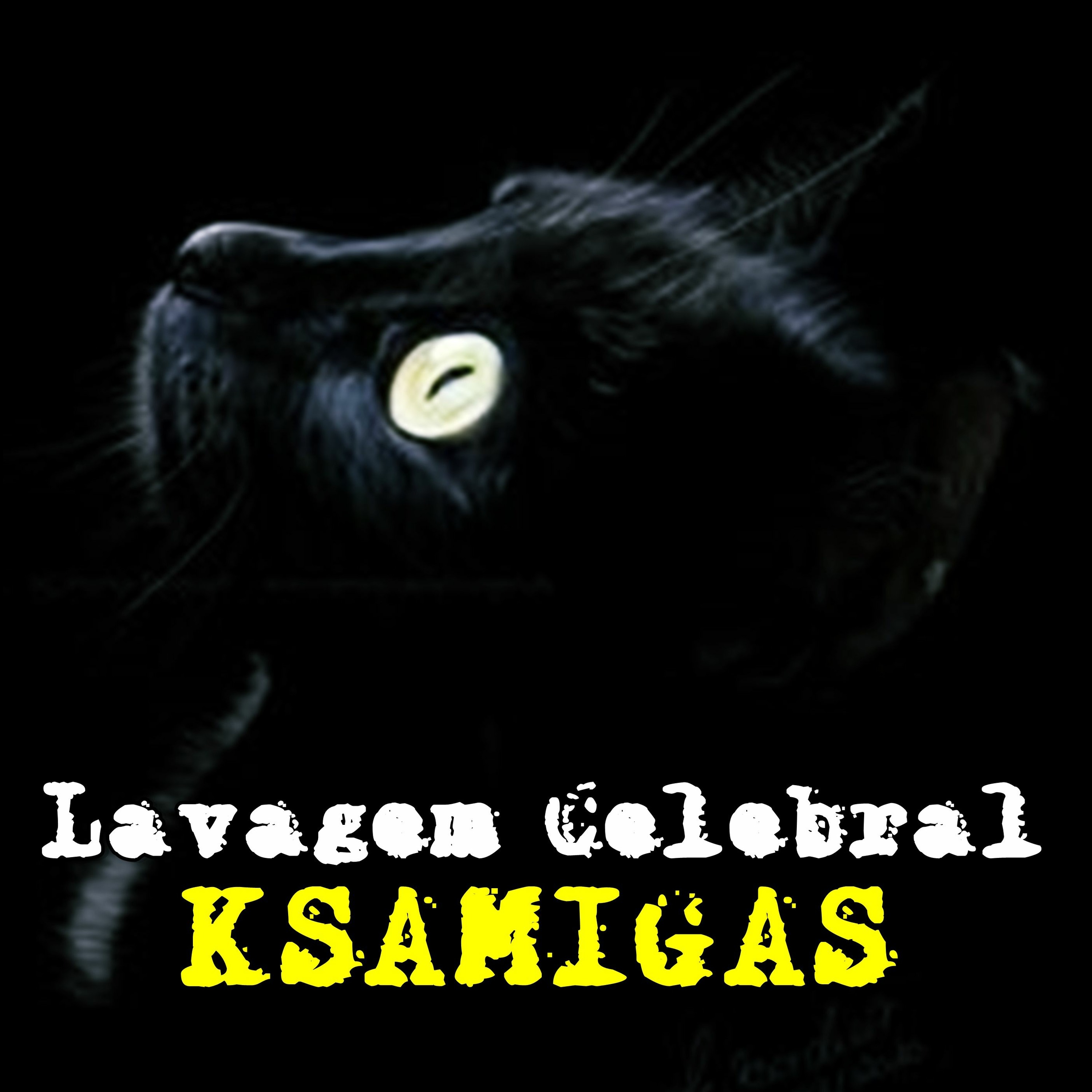 Ksamigas Oficial