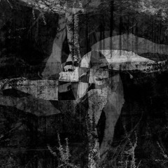 kup kawe w netto jutro (nieaktualne)