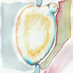 The Story of the Vertebrae and the Whale