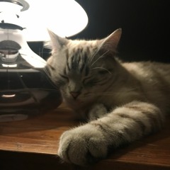 セリフ（女性・励ますお姉さん）