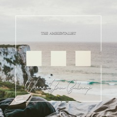 The Ambientalist - Where You Belong