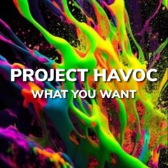PROJECT HAVOC - WHAT YOU WANT (TEASER)