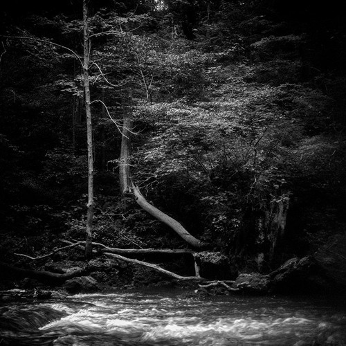 Stream Floating Down Stream by Blu Duvel Listen online for free on