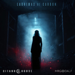 Lagrimas de carbon - MRGOODALF & Gitano House