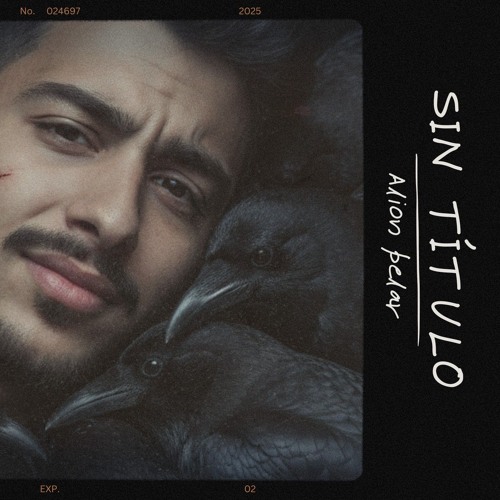 SIN TÍTULO | ALION PELAR